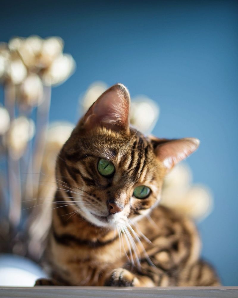 Photograph by Екатерина Лянгасова