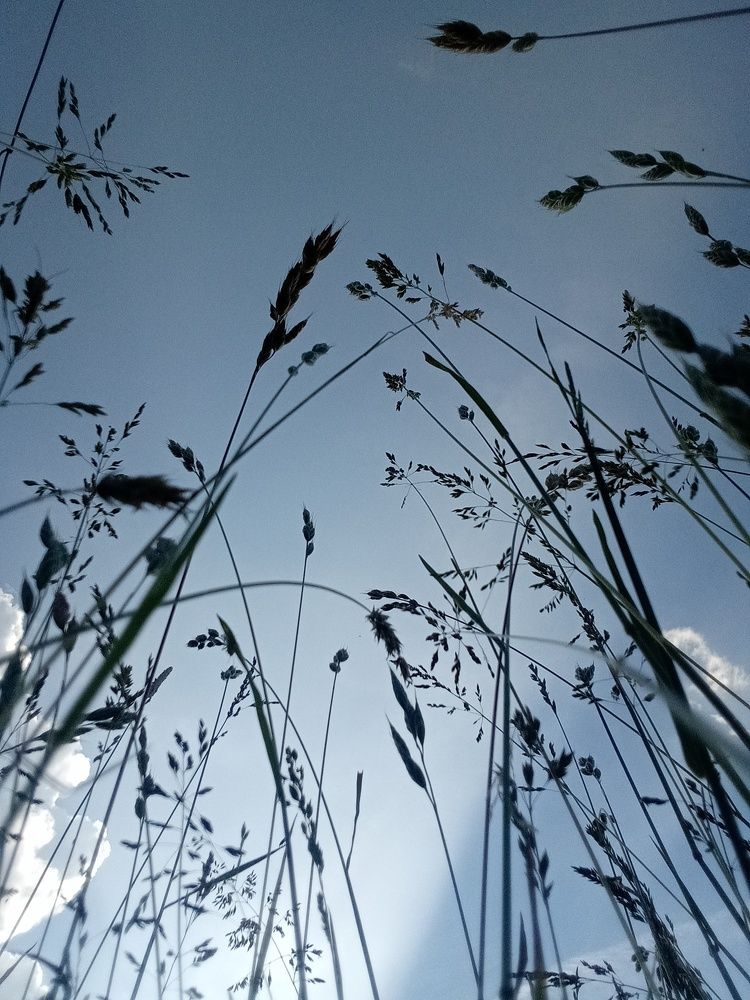 Photograph by Marijana Dragosavljevic