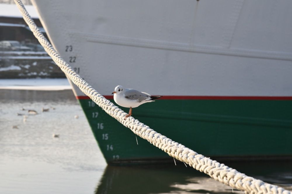 Photograph by Nesterova Svetlana