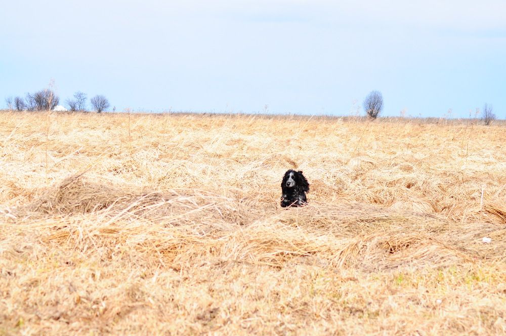 Photograph by Алексей Ильин