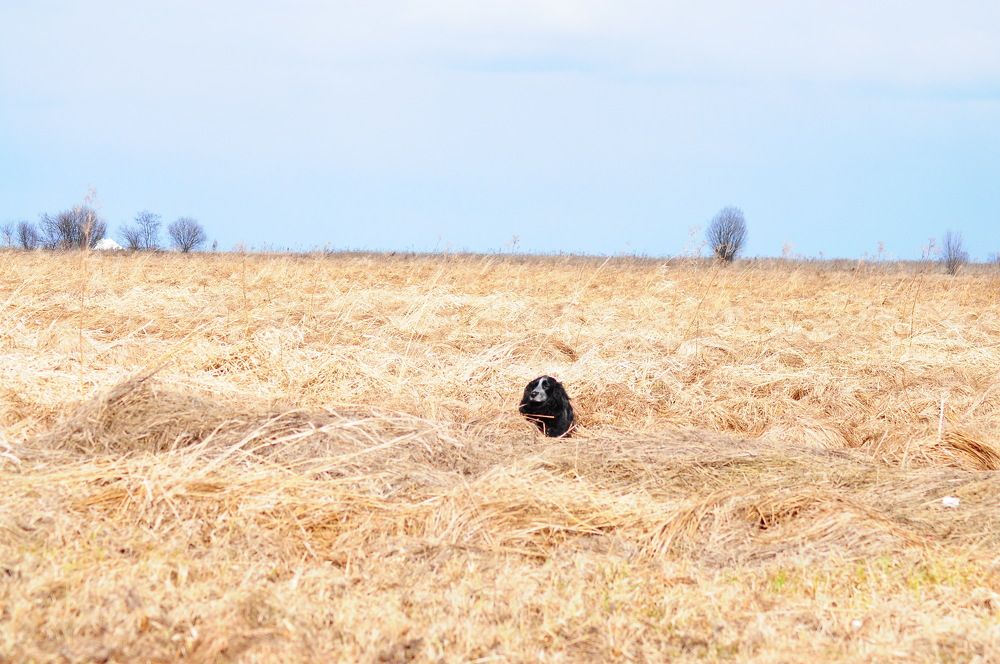 Photograph by Алексей Ильин