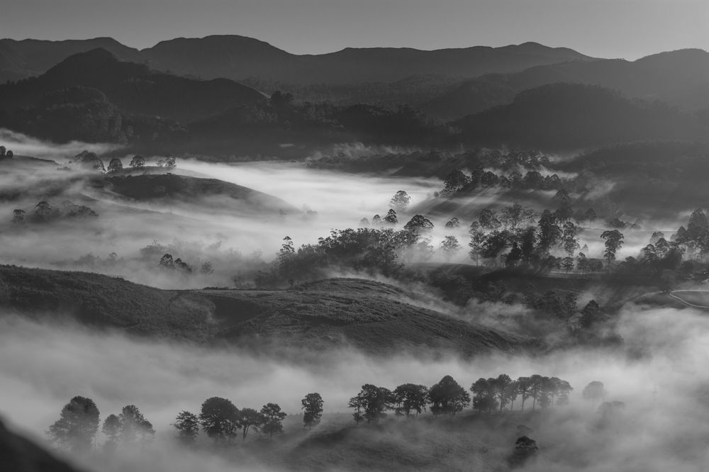 Photograph by Sriram Rajeswaran