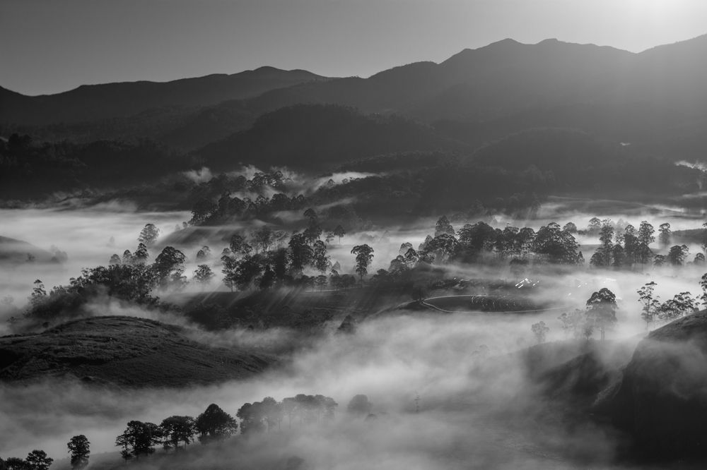 Photograph by Sriram Rajeswaran