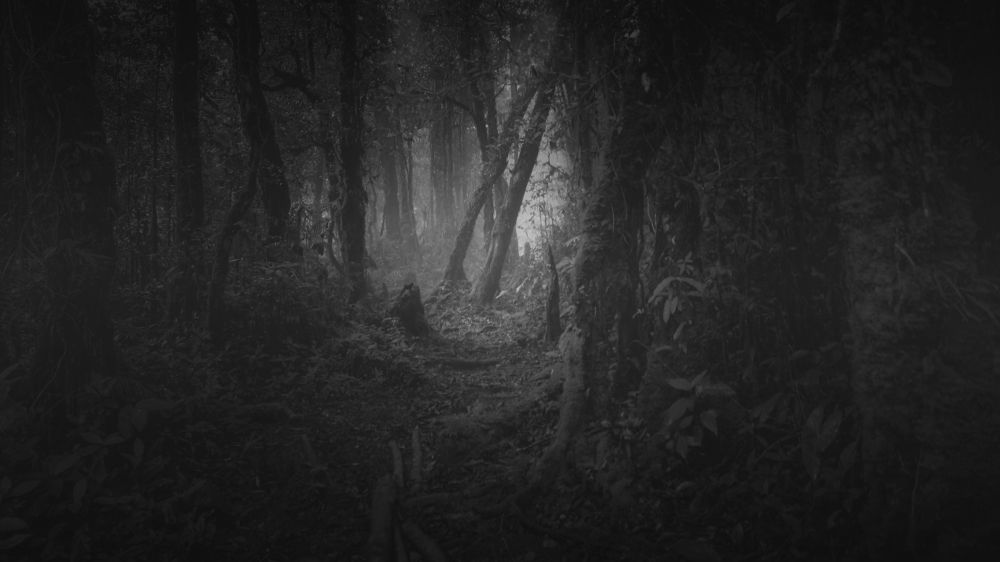 Photograph by irvan akhmad