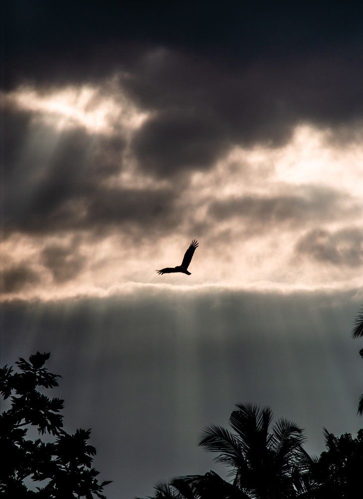 Photograph by Sriram Rajeswaran