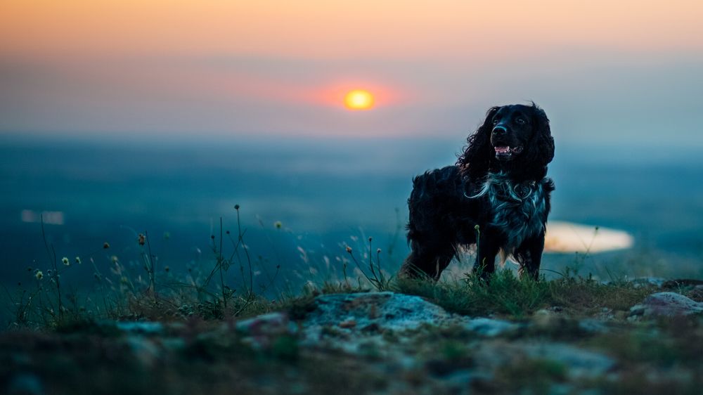 Photograph by Екатерина Кваша