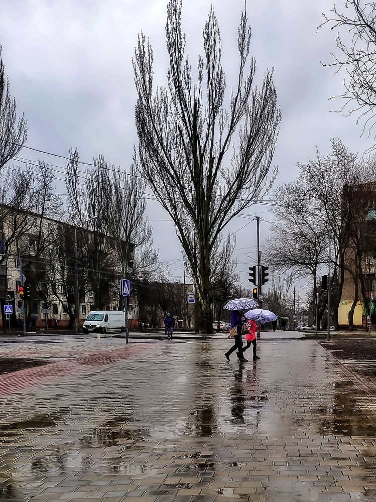 Photograph by Светлана Смирнова