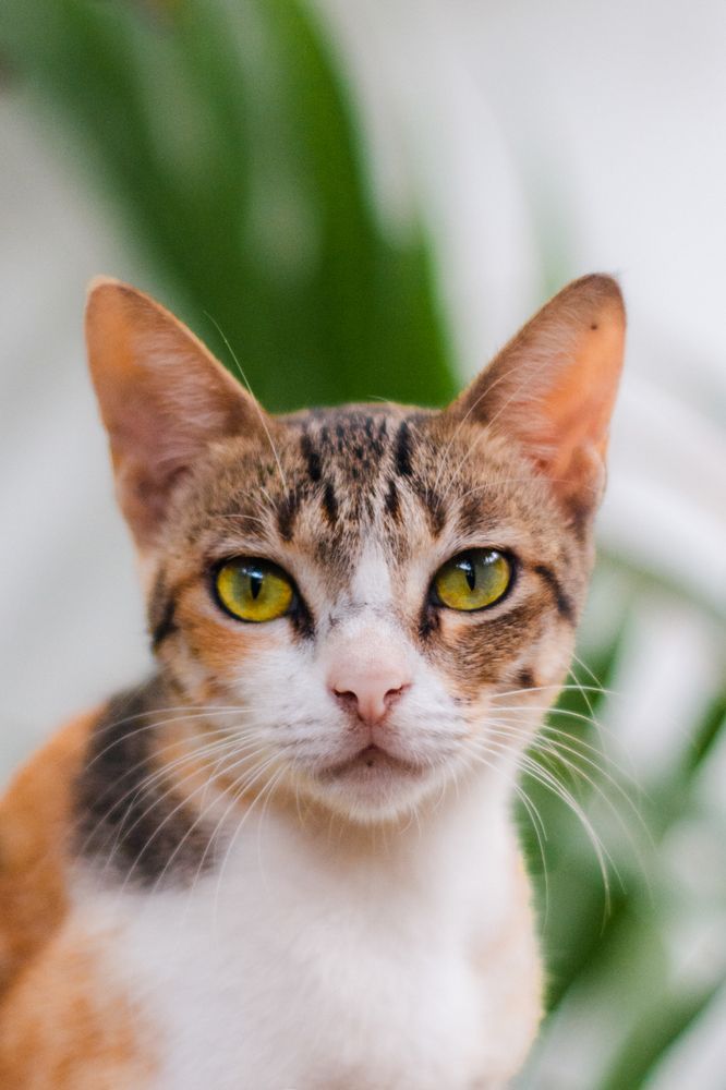 Photograph by Sriram Rajeswaran