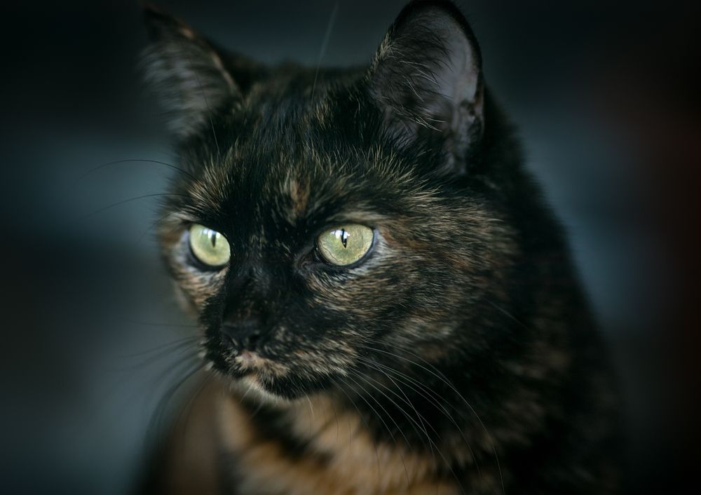 Photograph by Игорь Хижняк