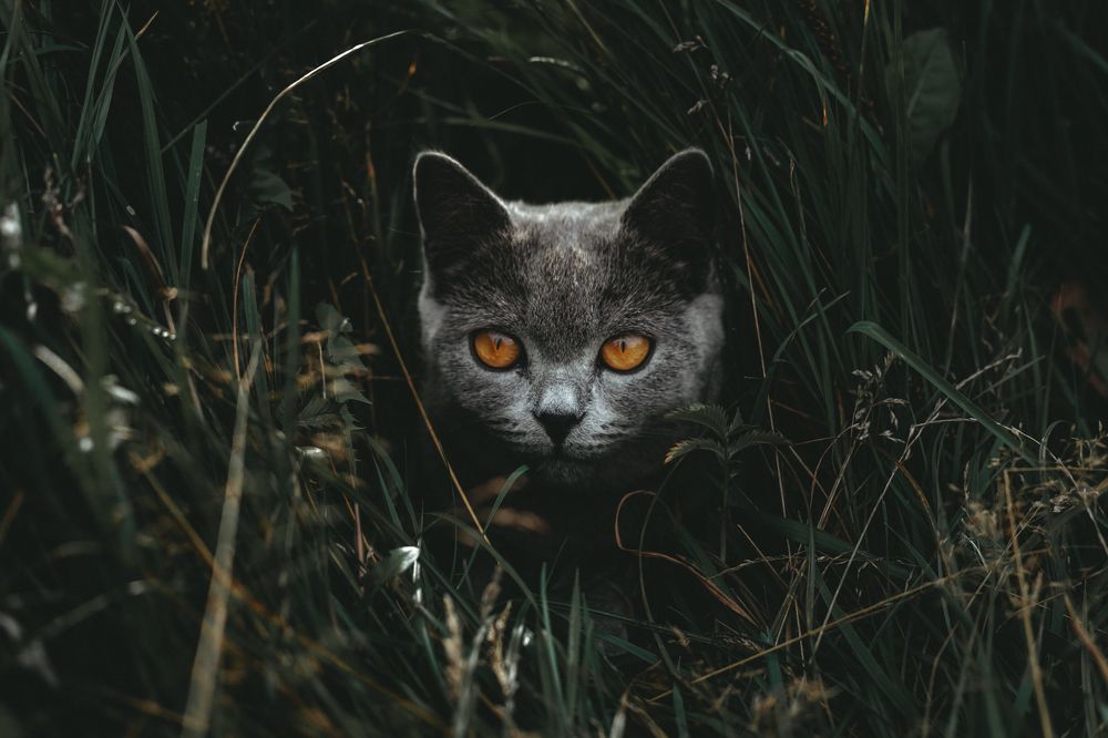 Photograph by Лев Рогожников