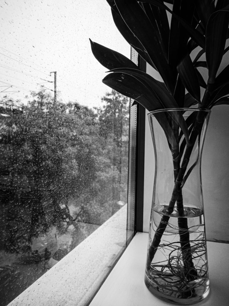 Photograph by bhardwaj vipin