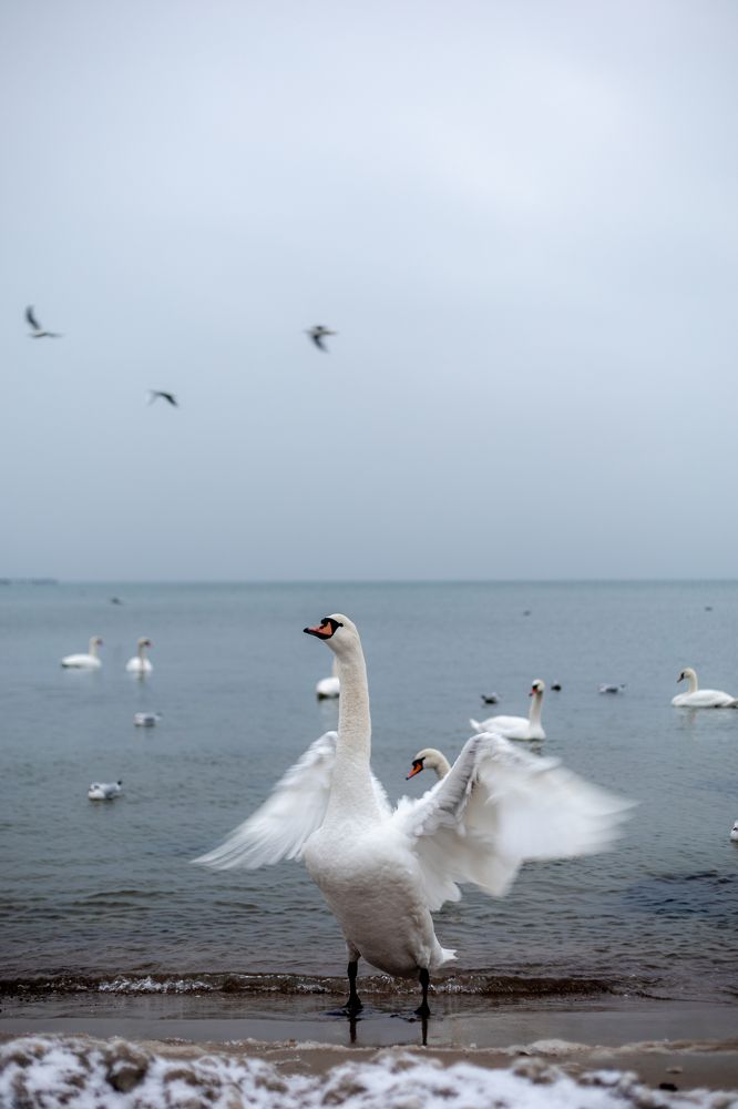 Photograph by Лев Рогожников