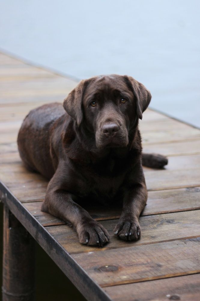 Photograph by Алеся Маклакова