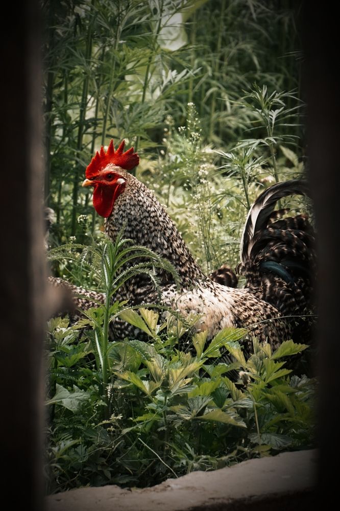 Photograph by Ольга Казакова