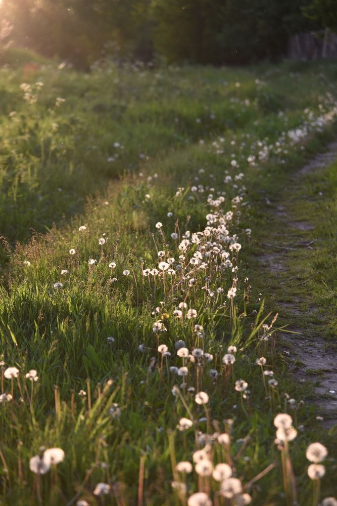 Photograph by Ольга Струкалина