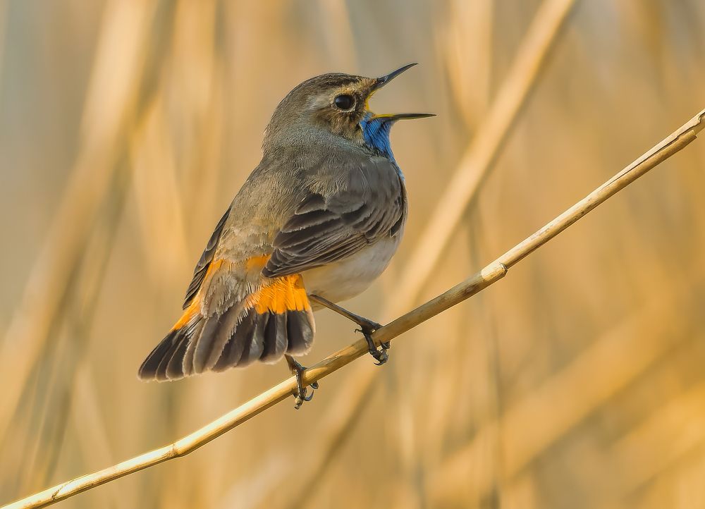 Photograph by Wendy Vanhoudt