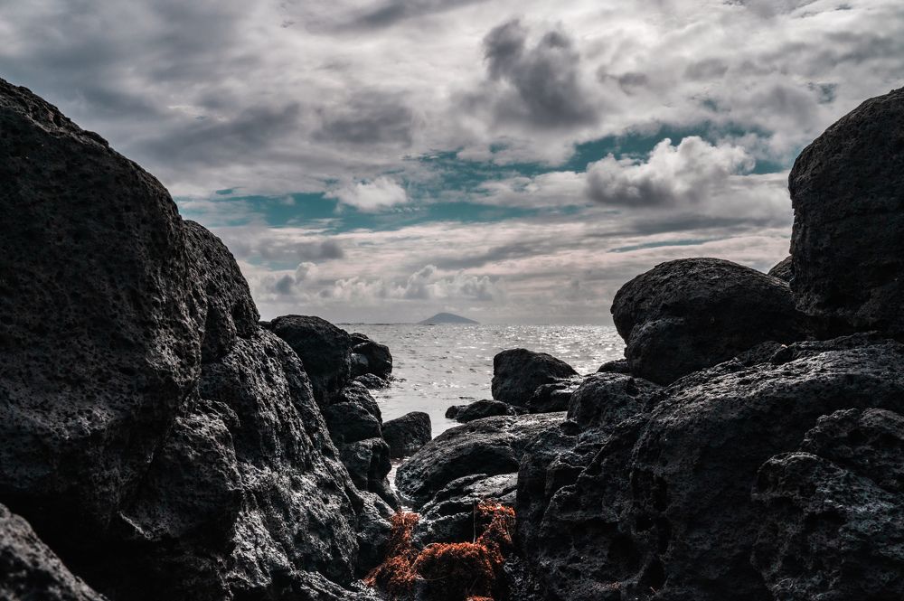 Photograph by Hayley van de Moortele