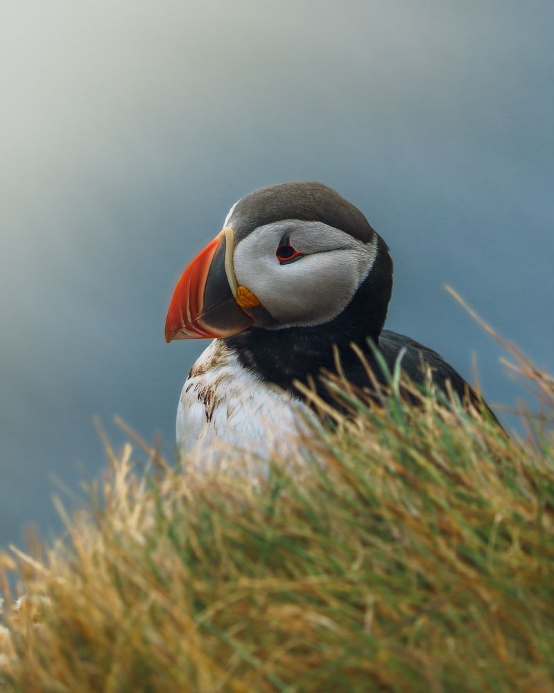 Photograph by Ruzena Bendova