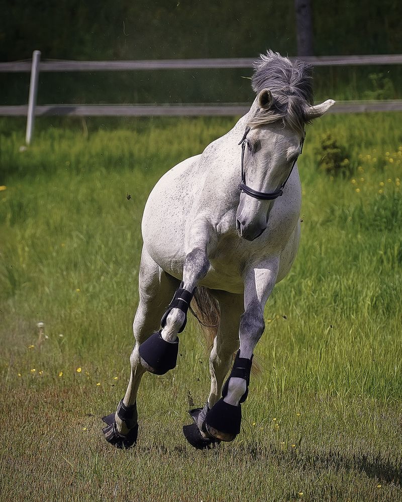 Photograph by Anna Sindikayeva