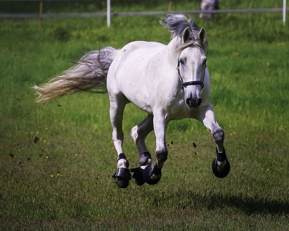 Photograph by Anna Sindikayeva