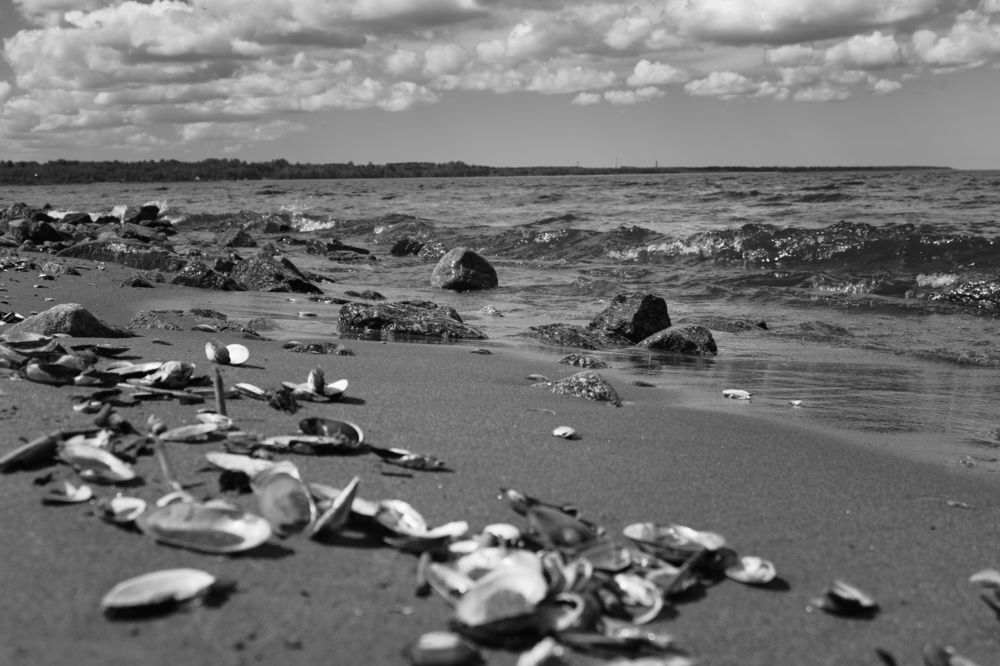 Фотография автора Александр