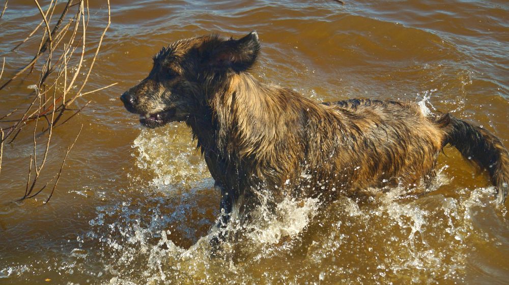 Photograph by Иван Кирилков