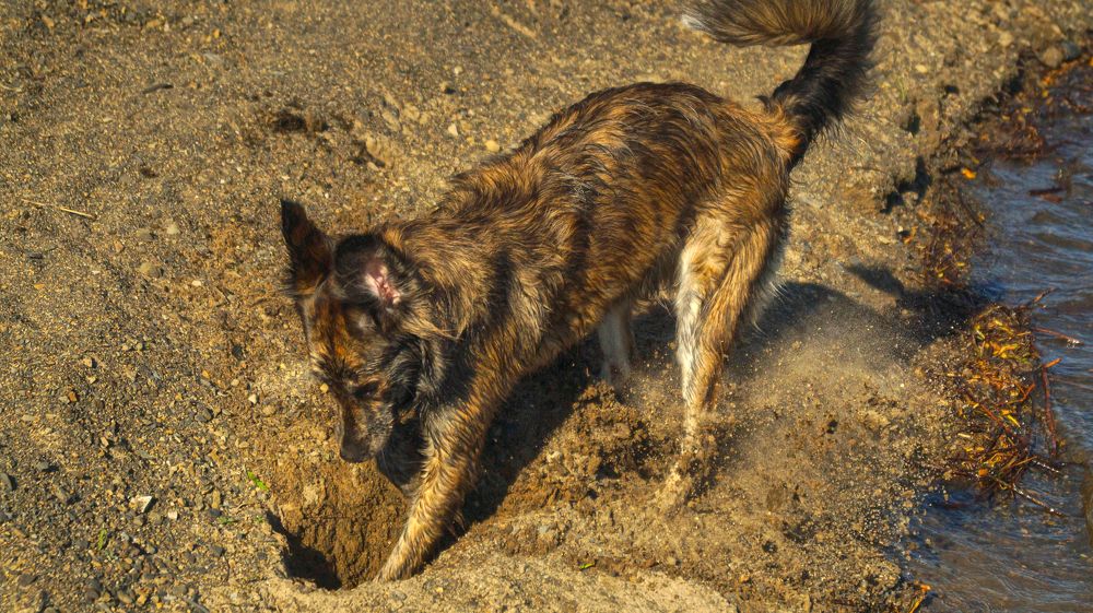 Photograph by Иван Кирилков