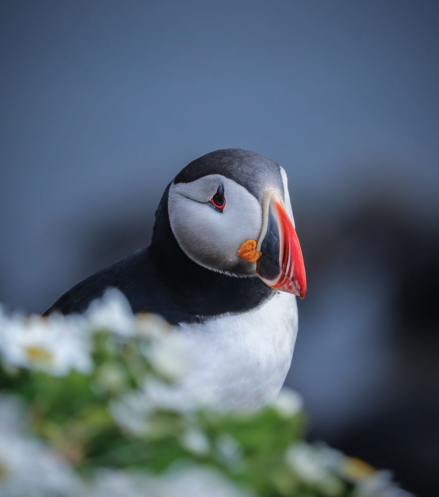 Photograph by Ruzena Bendova