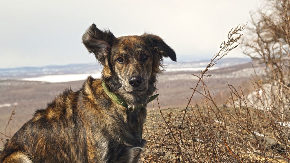 Photograph by Иван Кирилков