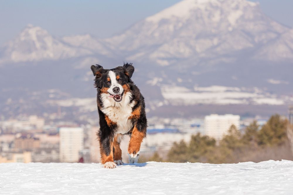 Photograph by Антонина Алексеенко