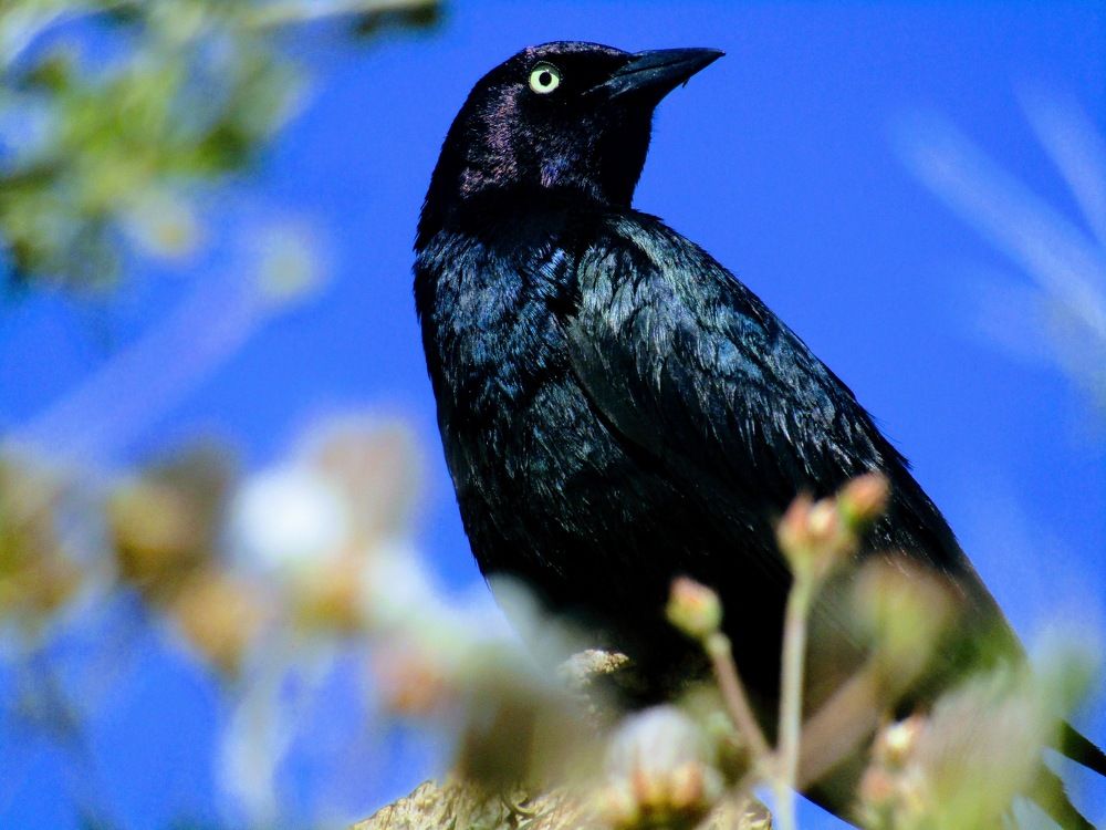 Photograph by Ethan Williams