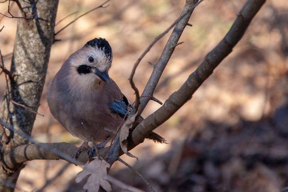 Photograph by Всеволод Маслов
