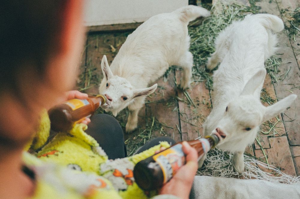 Photograph by Яна