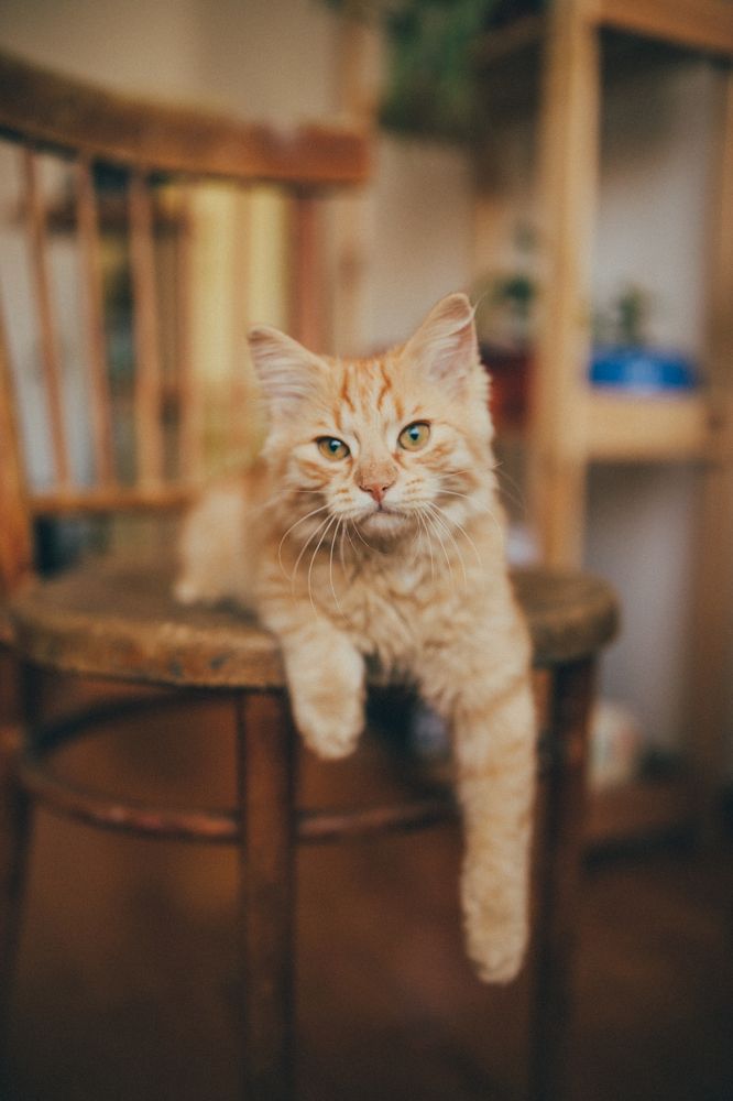 Photograph by Яна