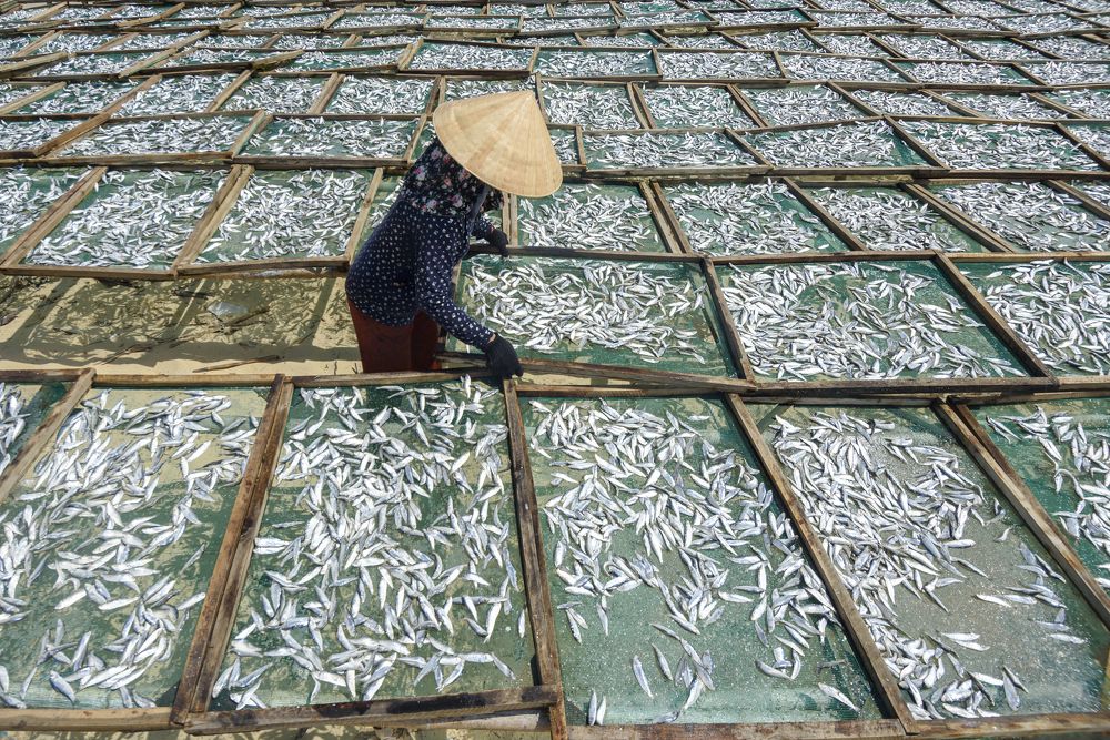 Photograph by Khiêm Phạm Đăng