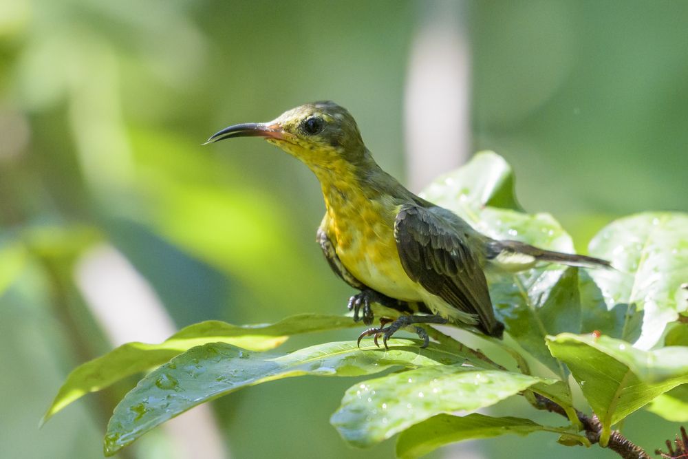 Photograph by Dang Khiem Pham