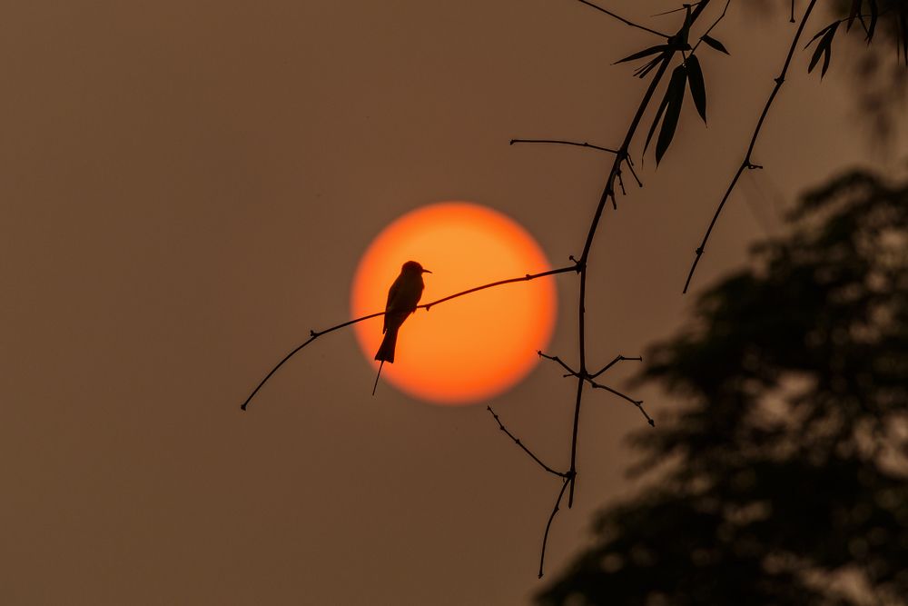 Photograph by Dang Khiem Pham