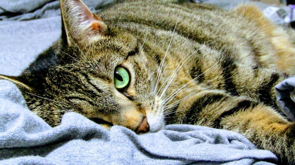 Photograph by Ethan Williams