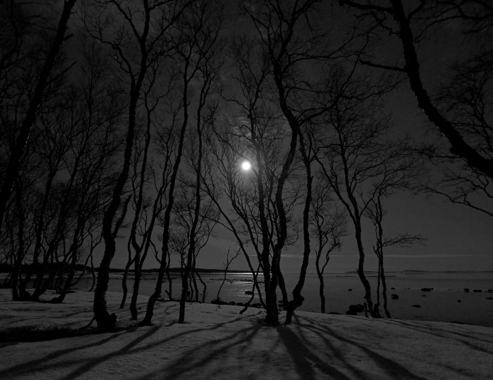 Photograph by Евгений Яковлев