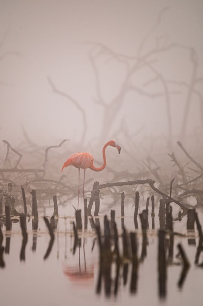 Photograph by Miguel Diaz