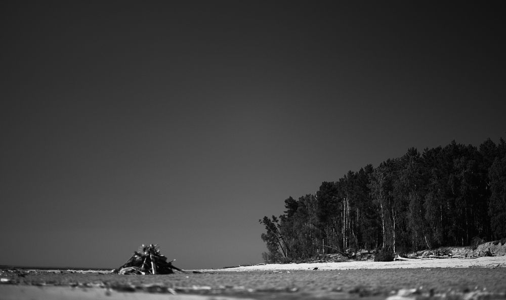 Фотография автора Сергей Козельский