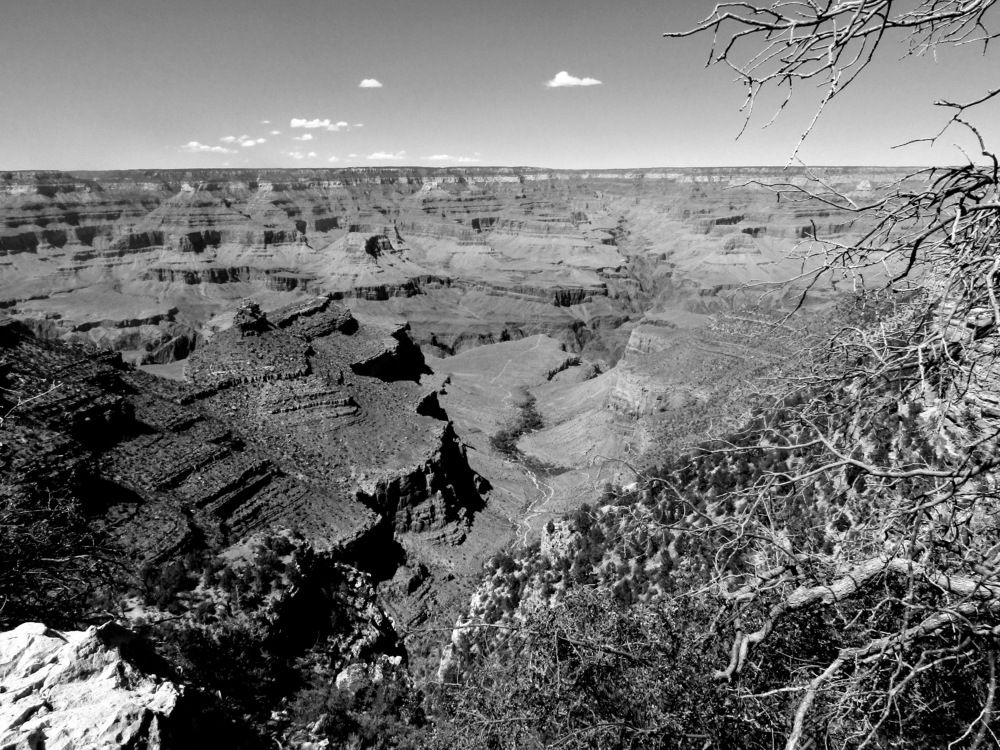 Photograph by Ethan Williams