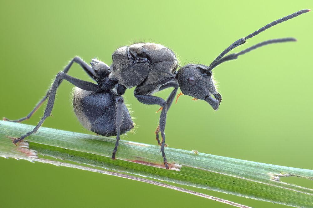 Photograph by Chen-You Li