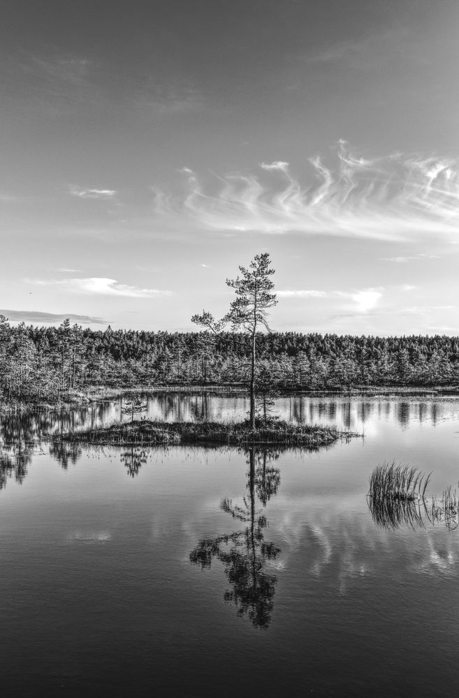 Photograph by Aleksei Degtjarjov