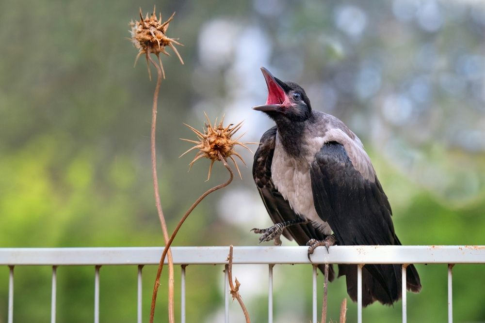 Photograph by Людмила Бекман