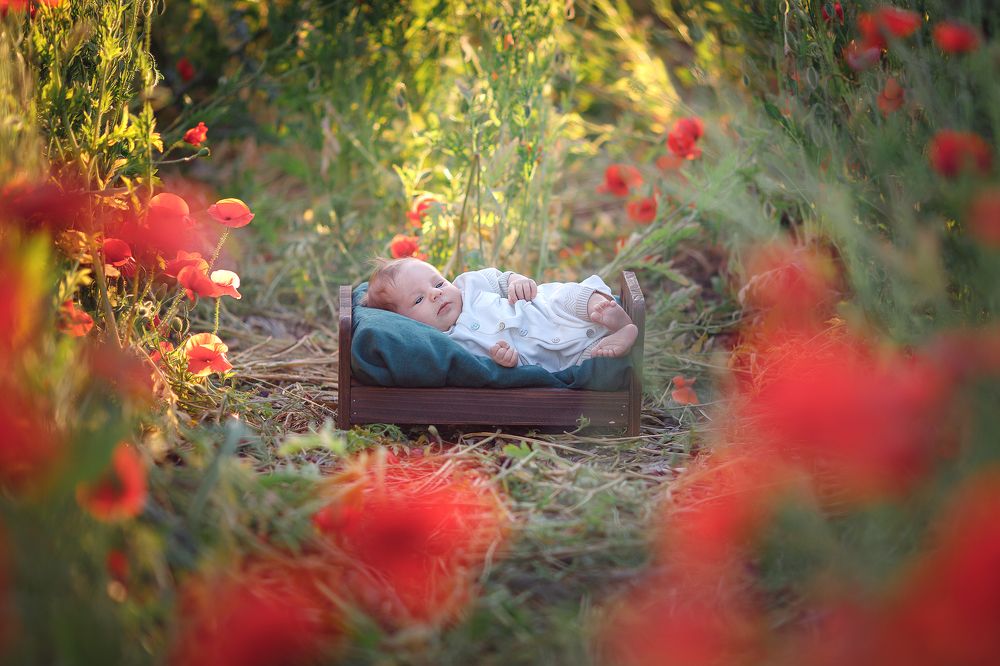 Photograph by Оксана Ершова