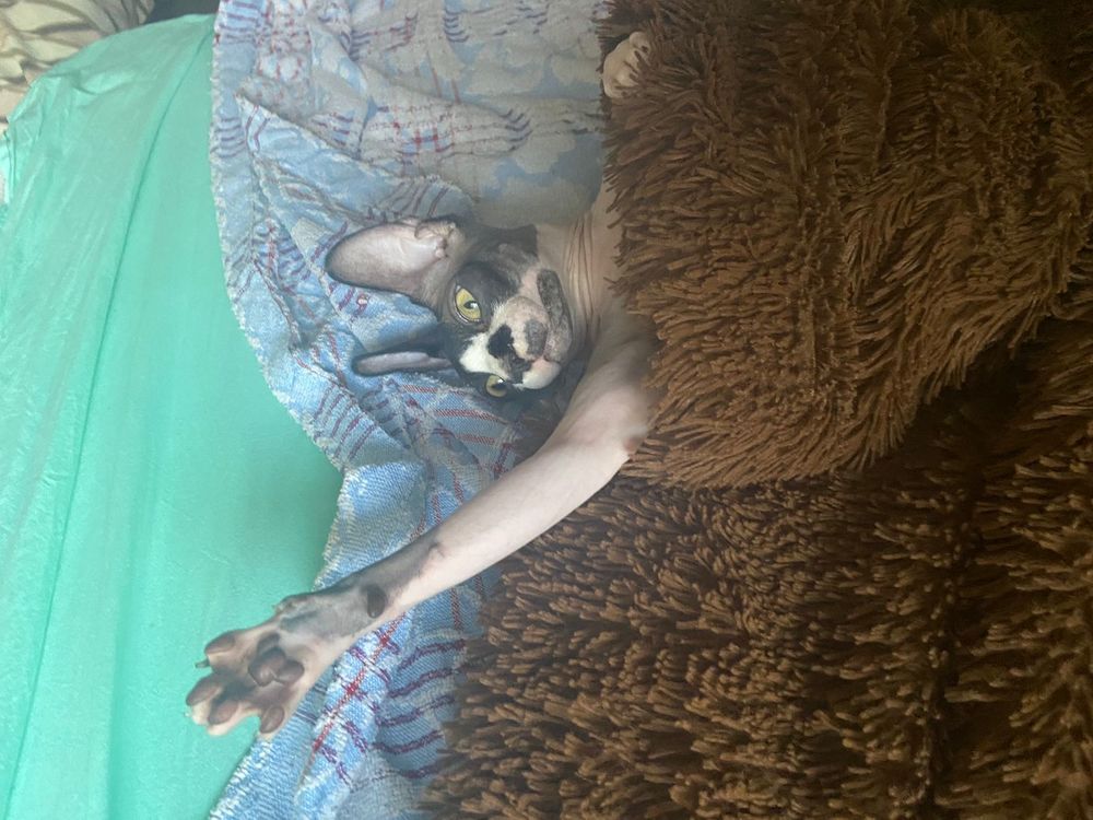 Солнце, еще рано.