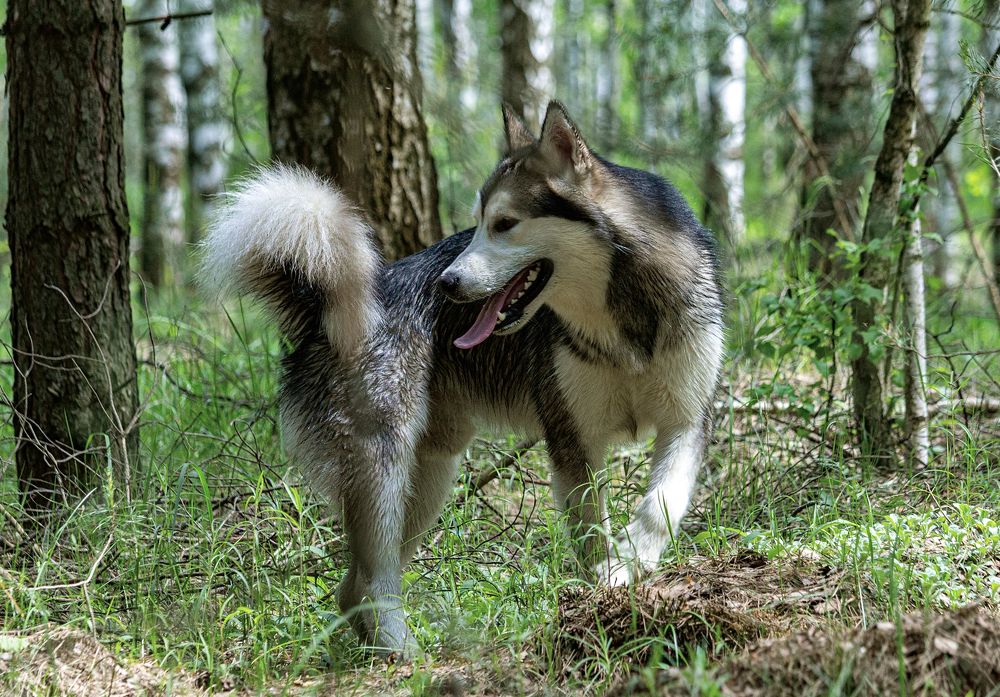 Photograph by Лев Постнов