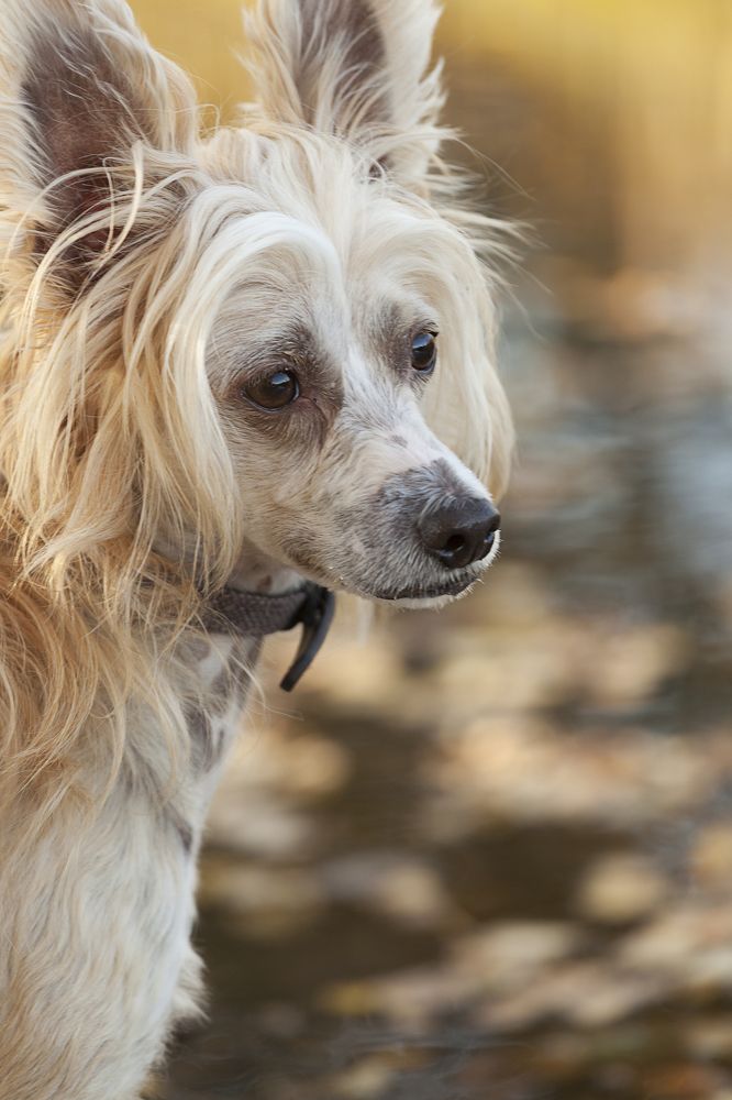 Фотография автора Лариса Кисурина
