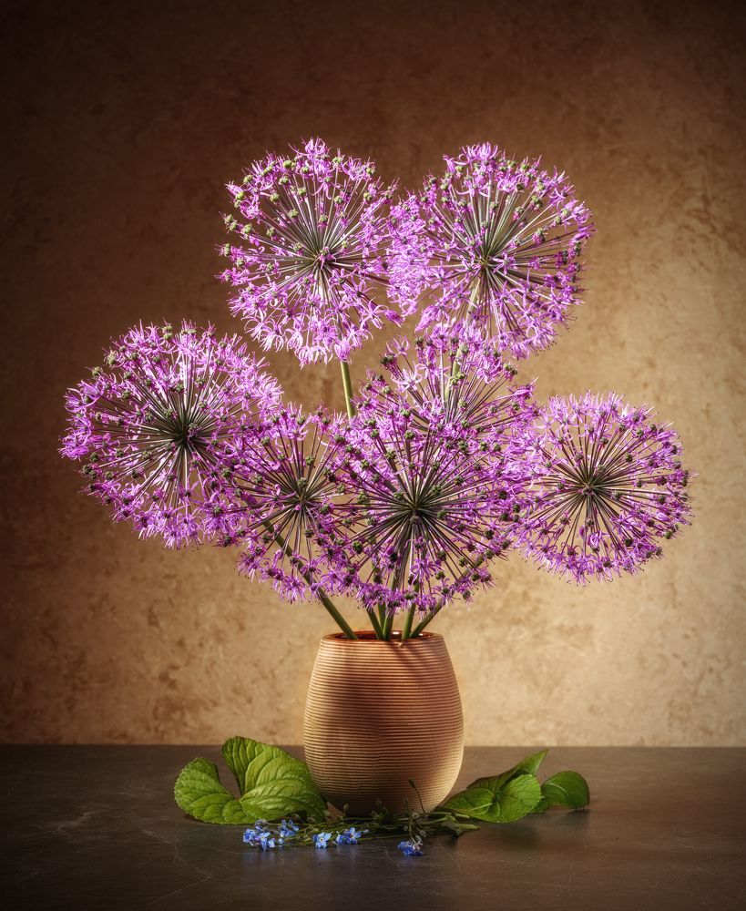 Photograph by Нуждин Андрей